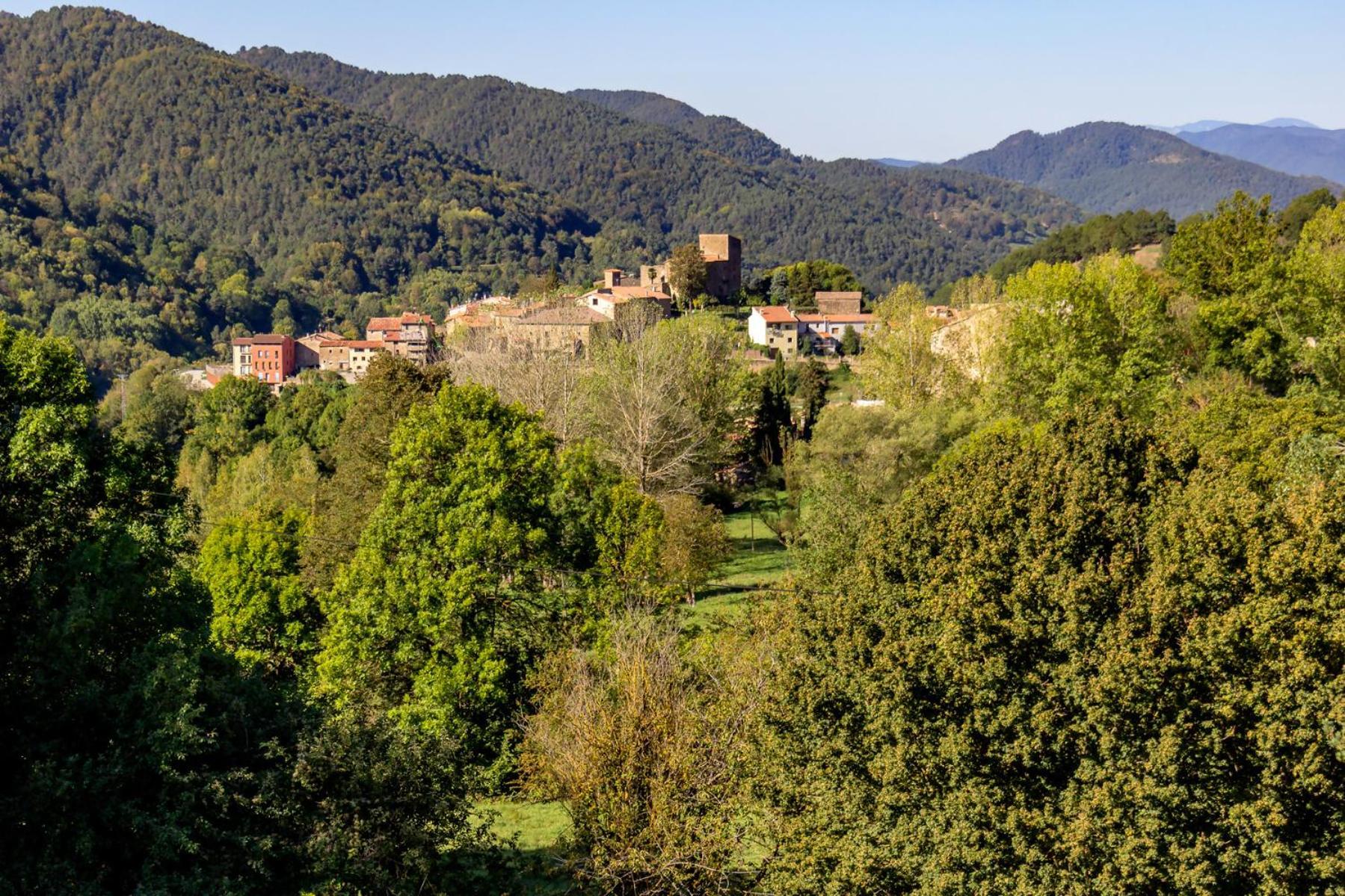 Вилла M De Puigsec Mas Rural Al Ripolles Жирона Экстерьер фото